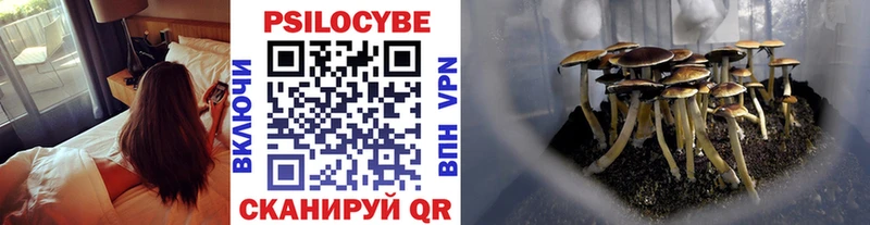 Псилоцибиновые грибы GOLDEN TEACHER  Себеж 